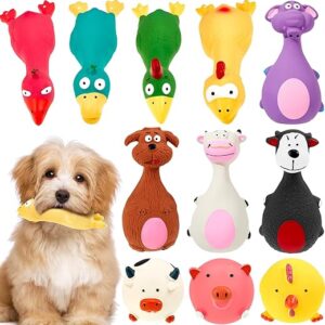 11-Piece Squeaky Latex Dog Chew Toys