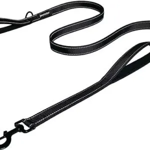 2-Handle Heavy Duty Dog Leash, 6ft