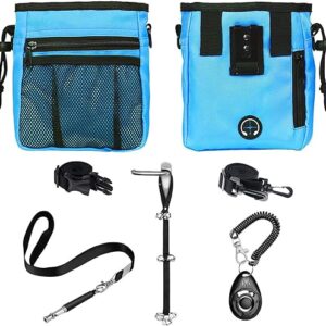 4-in-1 Dog Training Set - Blue