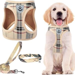 Adjustable Dog Harness Collar Leash Set