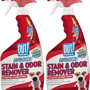 Advanced Stain & Odor Remover - 32oz (2 Pack)