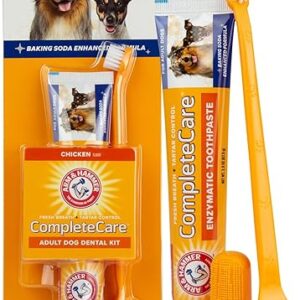 Arm & Hammer Dog Dental Kit