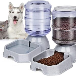 Automatic Pet Feeder and Water Dispenser