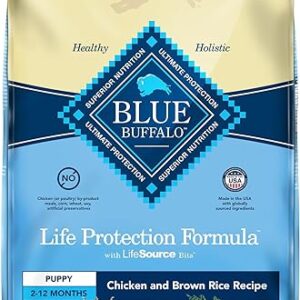 Blue Buffalo Puppy Dry Dog Food