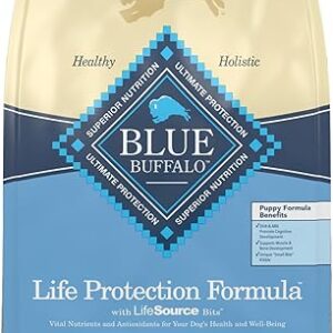 Blue Buffalo Puppy Dry Dog Food