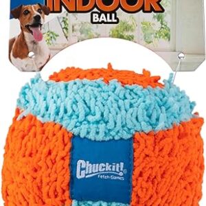 Chuckit Indoor Fetch Ball Dog Toy