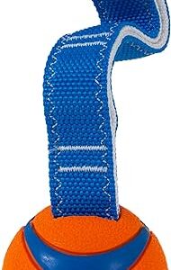 Chuckit Ultra Tug Dog Toy, Medium