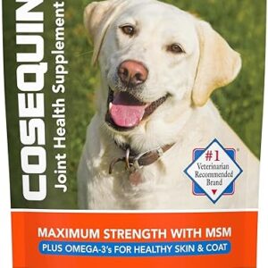 Cosequin Dog Joint Health Soft Chews