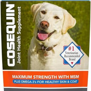 Cosequin Joint Health Supplement for Dogs