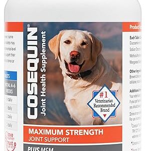 Cosequin Maximum Strength Joint Health Supplement