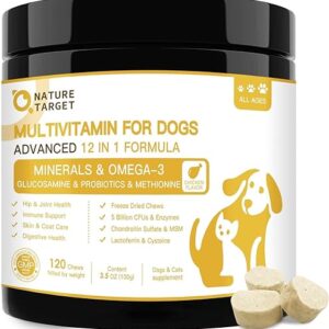 Dog Multivitamins for Overall Health Support