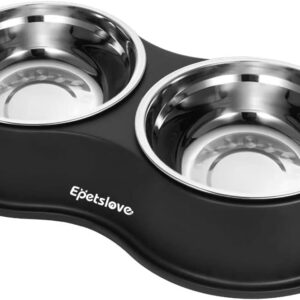 Double Stainless Steel Pet Feeder Bowls