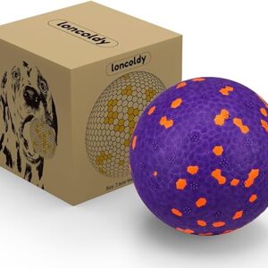 Durable Dog Ball for Aggressive Chewers