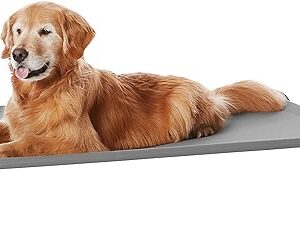 Elevated Dog Bed with Metal Frame