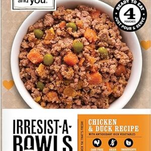 I and Love and You Irresist-a-Bowls Freeze-Dried Dog Food - Chicken & Beef