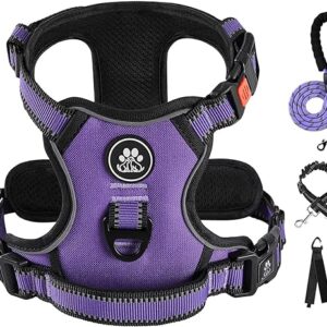 IVY&LANE Medium Dog Harness with Leash