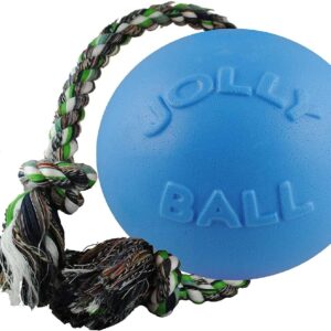 Jolly Pets Rope Ball Dog Toy