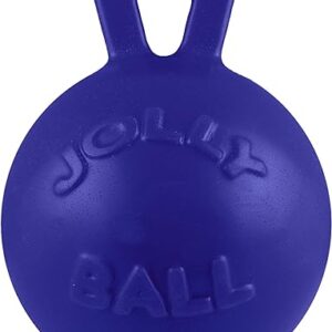 Jolly Pets Tug-n-Toss Dog Toy Ball