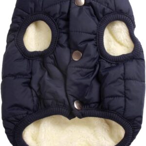 JoyDaog Fleece-Lined Dog Jacket in Blue