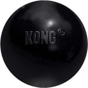 KONG Extreme Ball - Durable Dog Toy