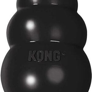 KONG Extreme Dog Toy - Durable Chew Toy