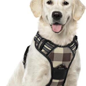 Large Dog No-Pull Harness with Leash Clips