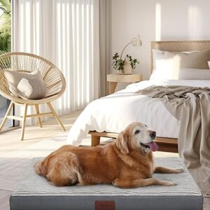 Large Orthopedic Dog Bed for Large Dogs