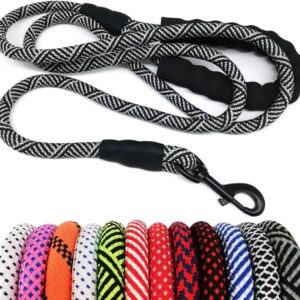 MayPaw Heavy Duty Nylon Dog Leash