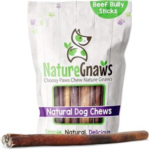 Nature Gnaws Premium Beef Bully Sticks