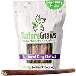 Nature Gnaws Premium Beef Dental Chews