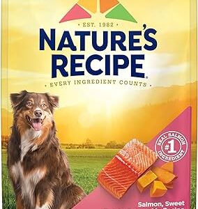 Nature's Recipe Salmon Dry Dog Food