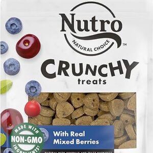 NUTRO Berry Crunch Dog Treats, 16 oz