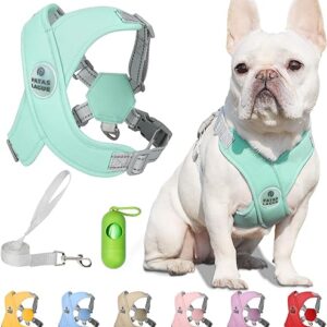 Patas Lague Dog Harness with Leash