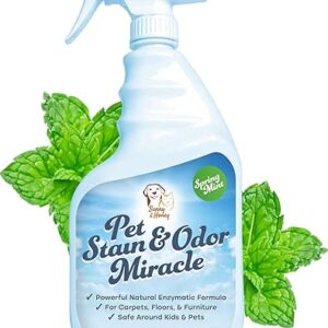 Pet Stain & Odor Enzyme Cleaner