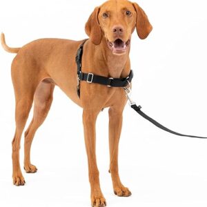 PetSafe Easy Walk No-Pull Harness