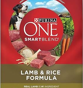 Purina ONE Lamb & Rice Dog Food