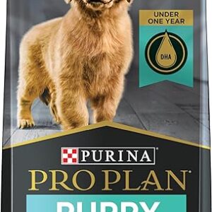 Purina Pro Plan Puppy Food - Chicken and Rice 6lb