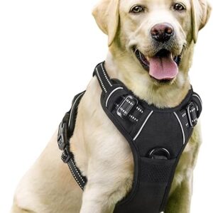 Rabbitgoo No-Pull Dog Harness with Leash Clips