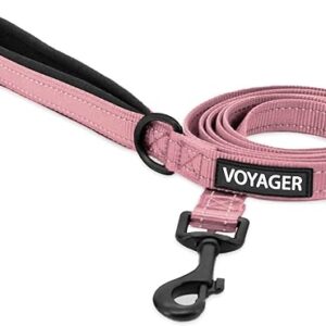 Reflective Dog Leash for All Sizes