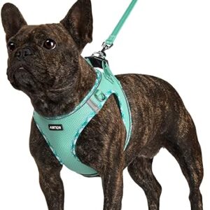 Reflective Small Dog Harness with Leash