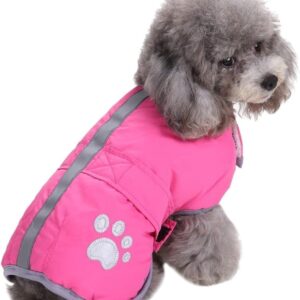 Reversible Winter Dog Vest with Waterproof