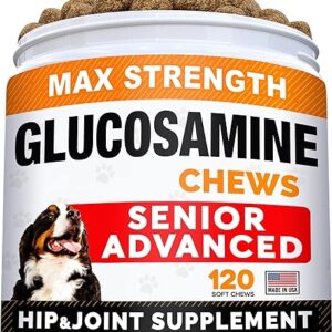 Senior Dog Joint Supplement for Pain