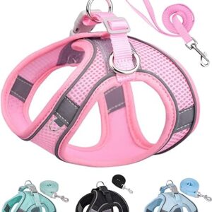 Small Dog Harness Set with Leash