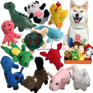 Squeaky Plush Dog Toy Pack