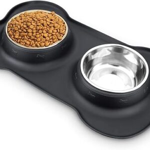 Stainless Steel Dog Food and Water Bowls