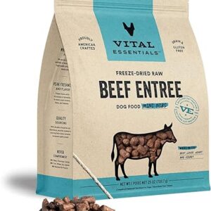 Vital Essentials Beef Mini Nibs 25oz