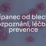 Close-up of flea bites on human skin, red itchy bumps in a row or cluster, detailed and realistic.