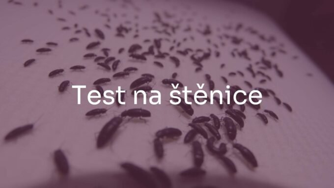 Close-up of bed bugs on a mattress, dark brown insects with flat bodies, realistic, focus on details, dim lighting.