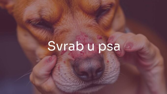 Sad dog scratching its itchy skin, microscopic mites visible on fur, inflamed skin, concerned expression, realistic.