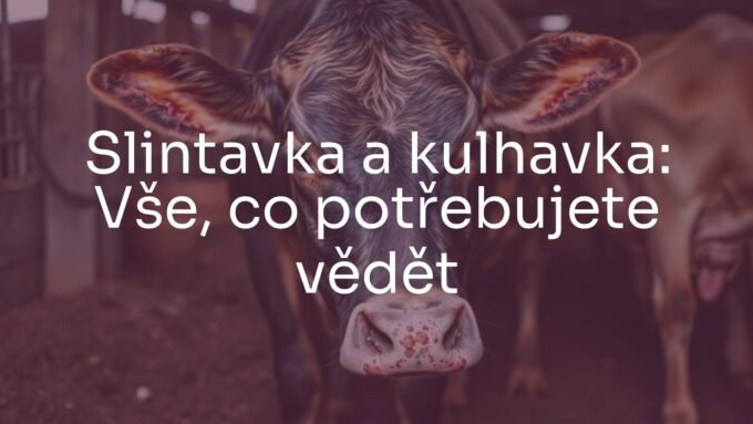 A distressed cow with visible blisters on its mouth and hooves, standing in a farm setting, realistic, somber mood.